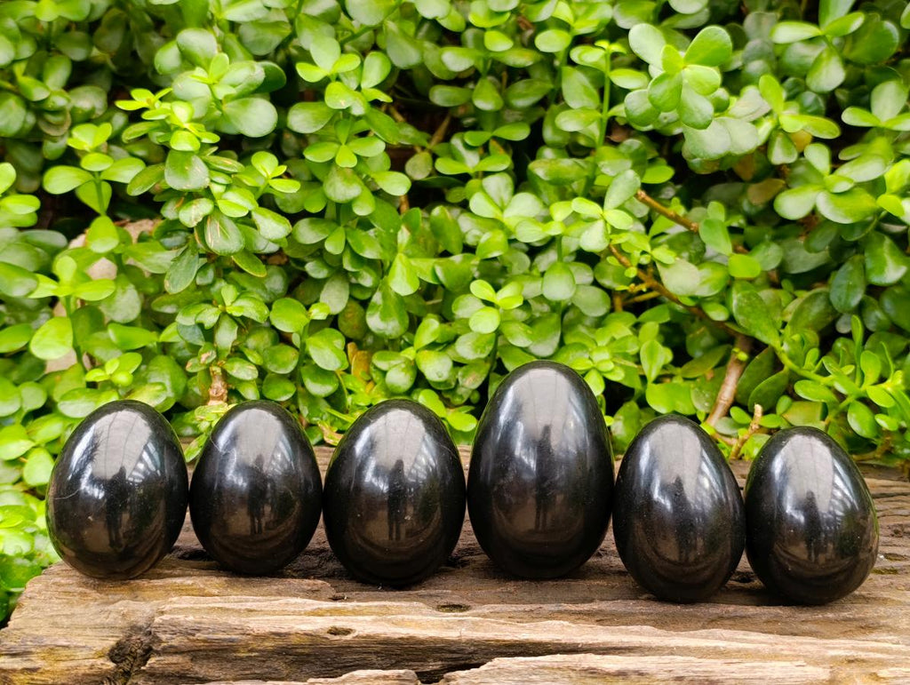 Polished Black Basalt Eggs x 6 From Madagascar