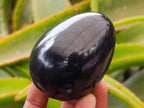 Polished Black Basalt Eggs x 6 From Madagascar