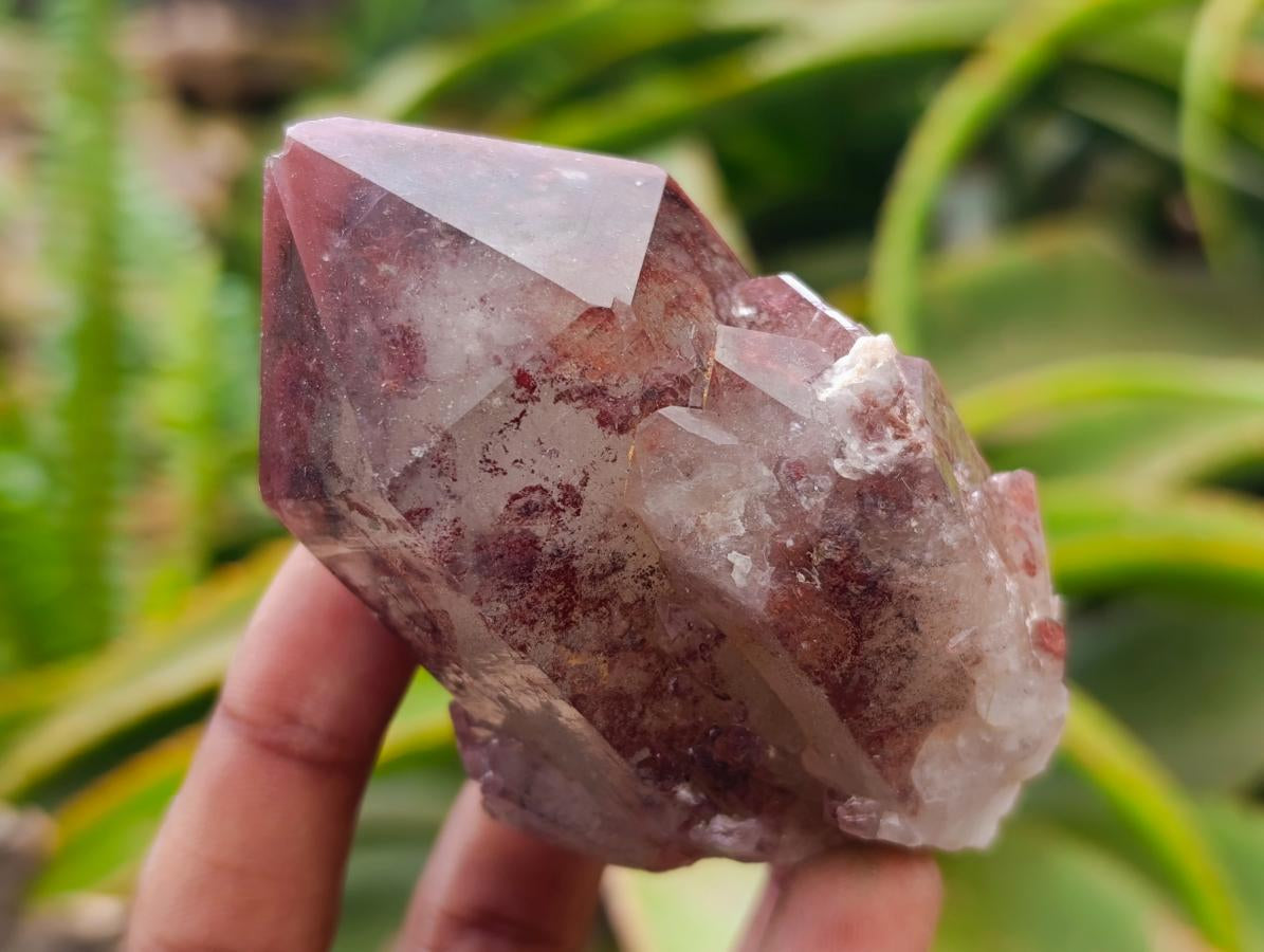Natural Red Hematoid Quartz Crystals x 12 From Karoi, Zimbabwe