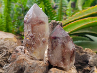 Natural Red Hematoid Quartz Crystals x 12 From Karoi, Zimbabwe