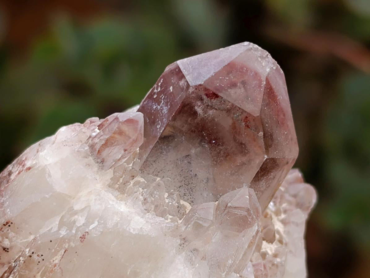 Natural Red Hematoid Quartz Crystals x 12 From Karoi, Zimbabwe