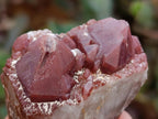 Natural Red Hematoid Quartz Crystals x 12 From Karoi, Zimbabwe