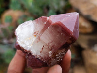 Natural Red Hematoid Quartz Crystals x 12 From Karoi, Zimbabwe