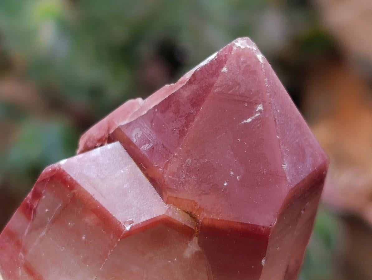 Natural Red Hematoid Quartz Crystals x 12 From Karoi, Zimbabwe
