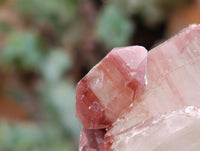 Natural Red Hematoid Quartz Crystals x 12 From Karoi, Zimbabwe