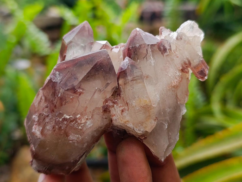 Natural Red Hematoid Quartz Crystals x 12 From Karoi, Zimbabwe