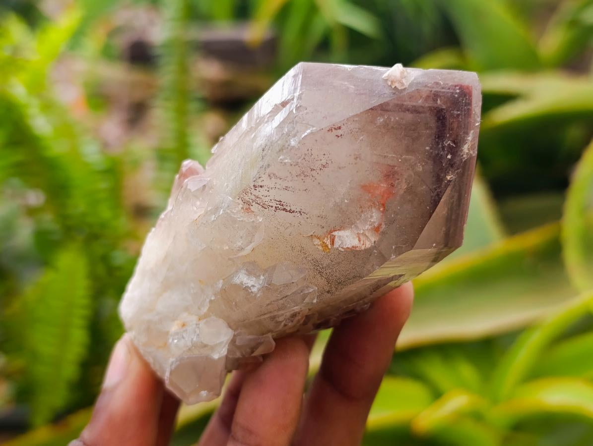 Natural Red Hematoid Quartz Crystals x 12 From Karoi, Zimbabwe