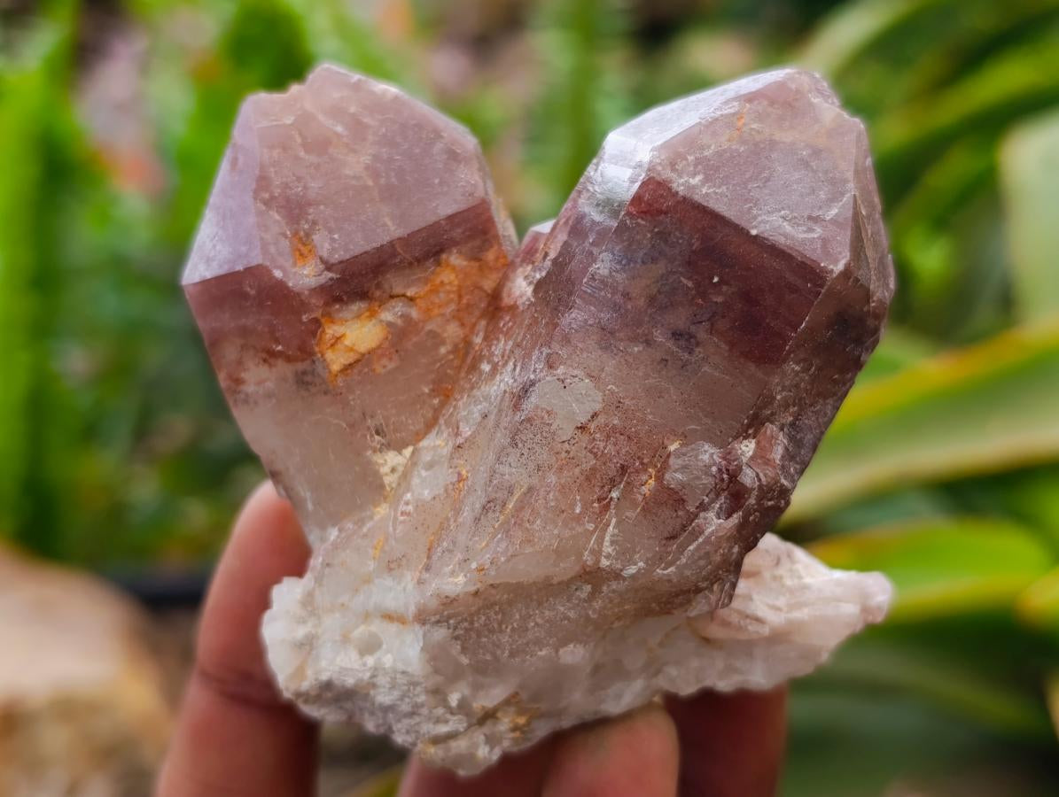 Natural Red Hematoid Quartz Crystals x 12 From Karoi, Zimbabwe
