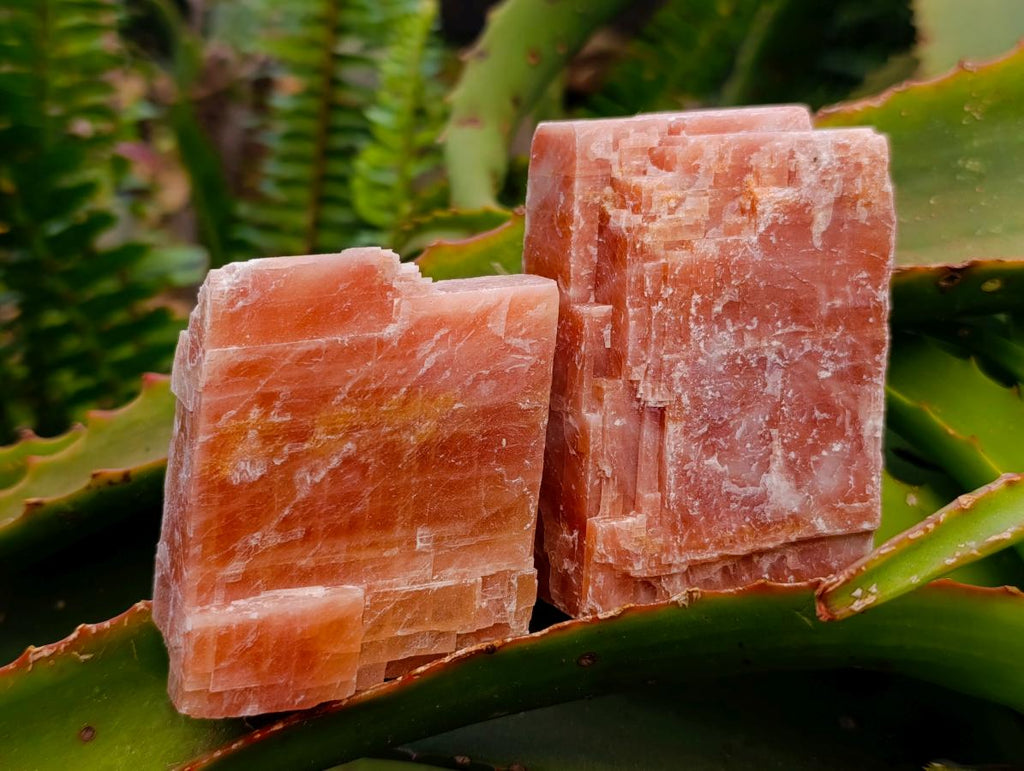 Natural Sunset Orange Calcite Specimens x 12 From Spitzkop, Namibia