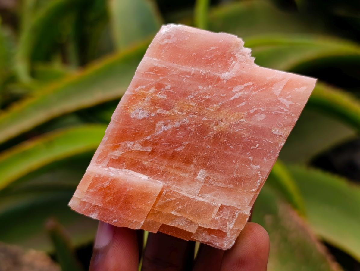 Natural Sunset Orange Calcite Specimens x 12 From Spitzkop, Namibia