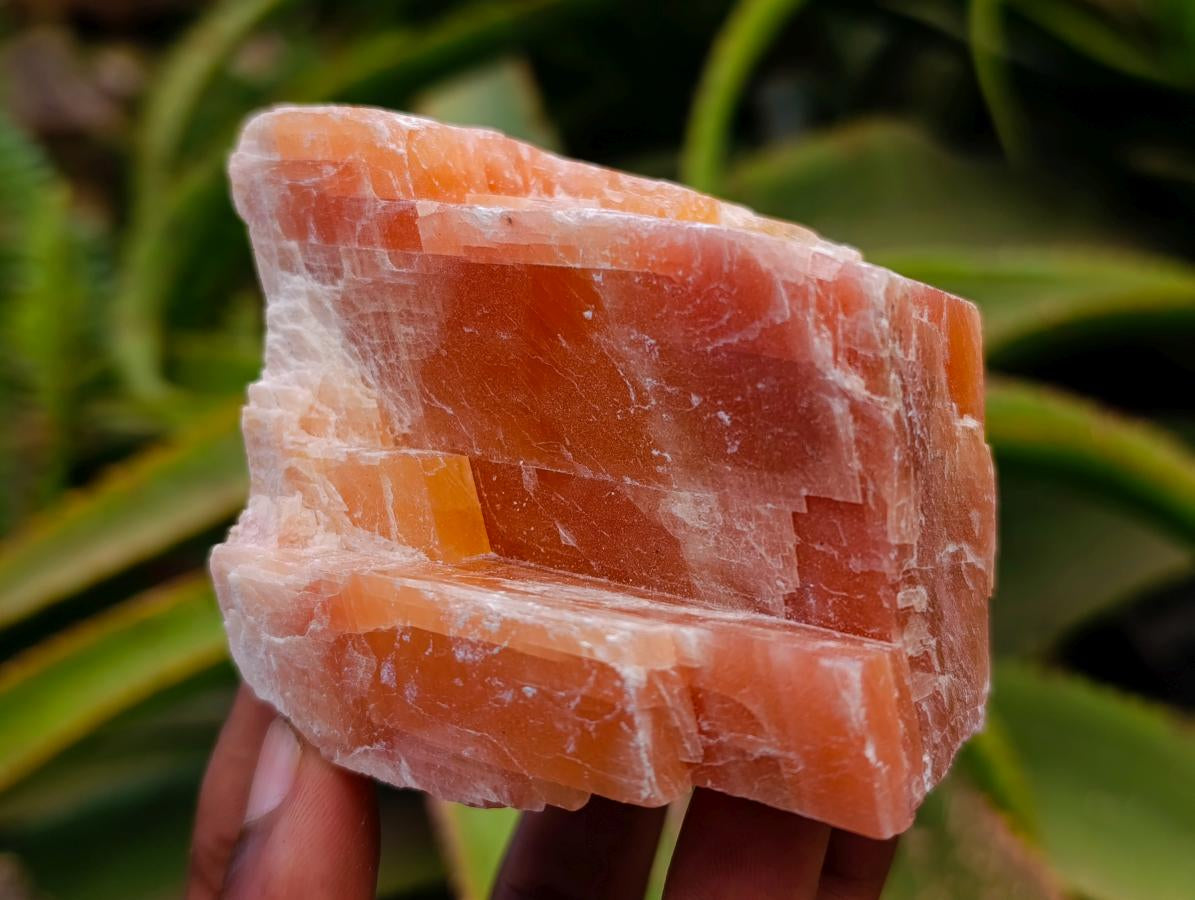 Natural Sunset Orange Calcite Specimens x 12 From Spitzkop, Namibia