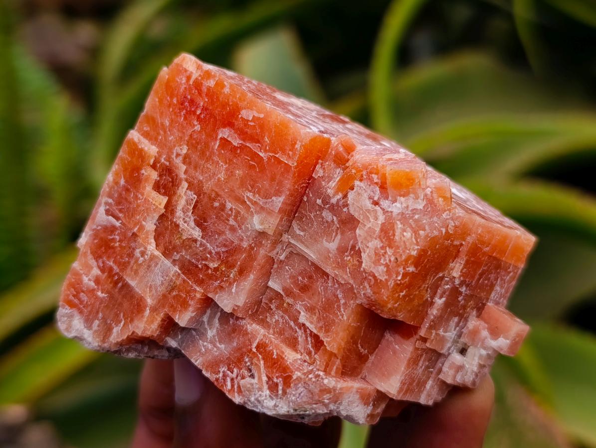 Natural Sunset Orange Calcite Specimens x 12 From Spitzkop, Namibia
