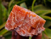 Natural Sunset Orange Calcite Specimens x 12 From Spitzkop, Namibia