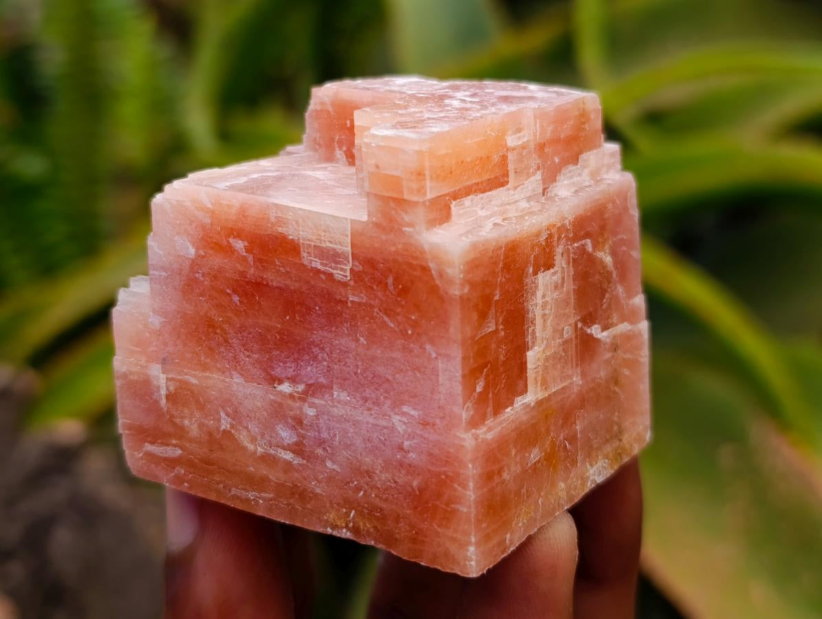 Natural Sunset Orange Calcite Specimens x 12 From Spitzkop, Namibia