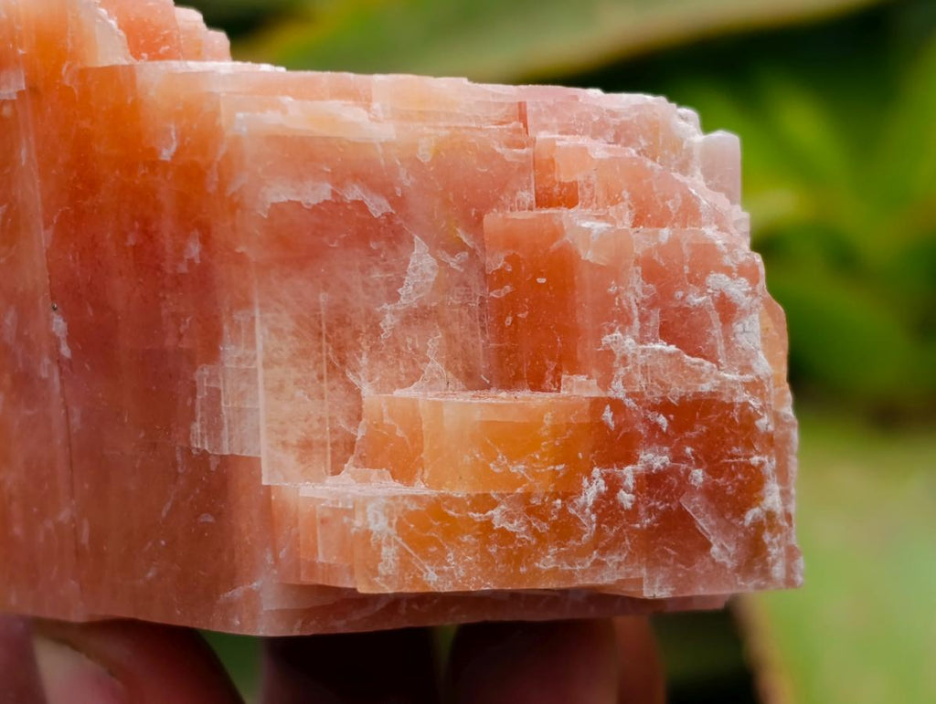 Natural Sunset Orange Calcite Specimens x 12 From Spitzkop, Namibia