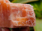 Natural Sunset Orange Calcite Specimens x 12 From Spitzkop, Namibia