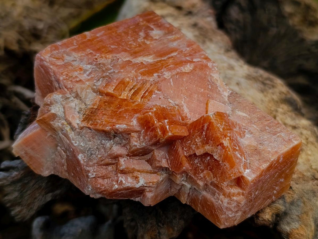 Natural Sunset Orange Calcite Specimens x 12 From Spitzkop, Namibia