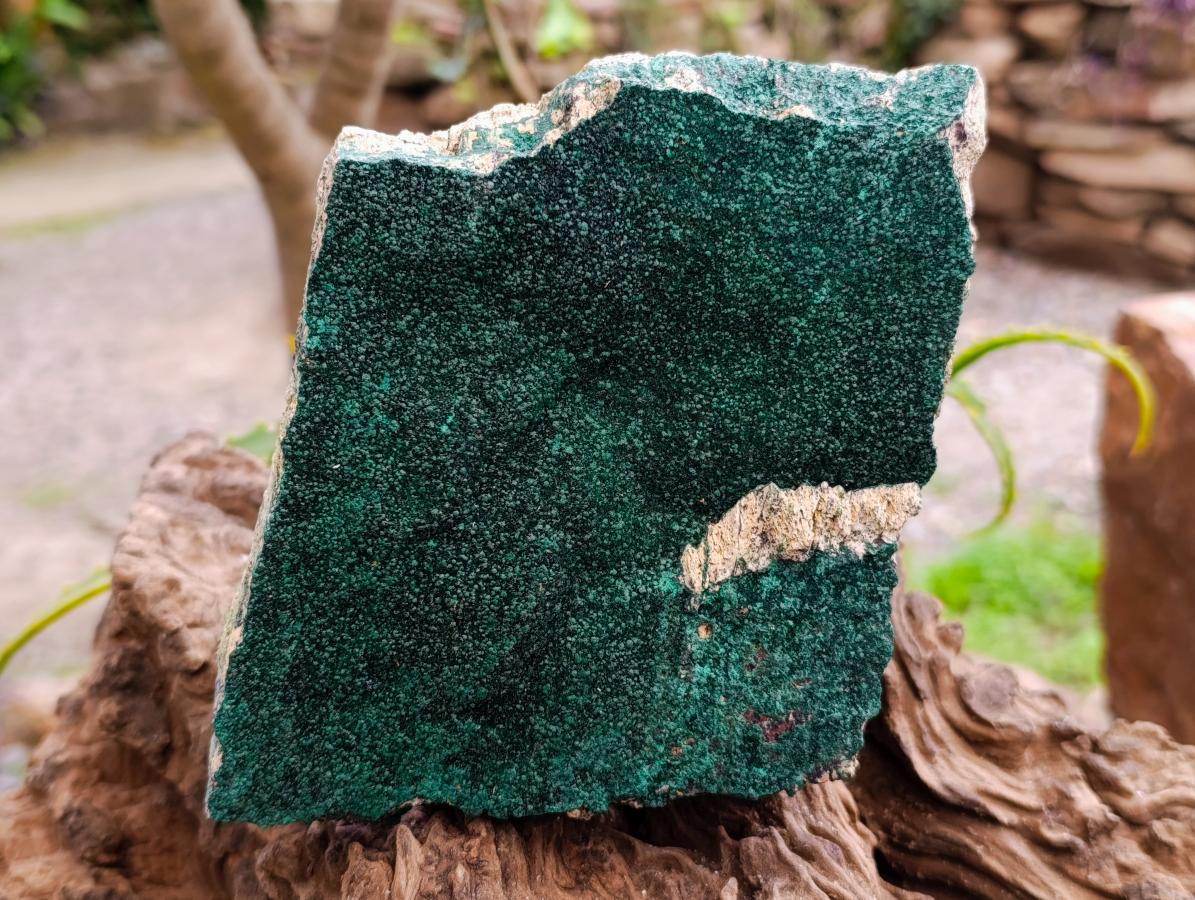Natural Botryoidal Malachite Specimens x 2 From Congo