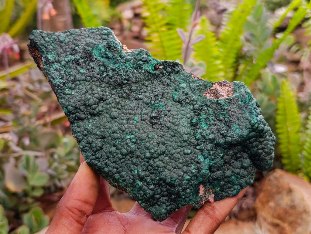 Natural Botryoidal Malachite Specimens x 2 From Congo