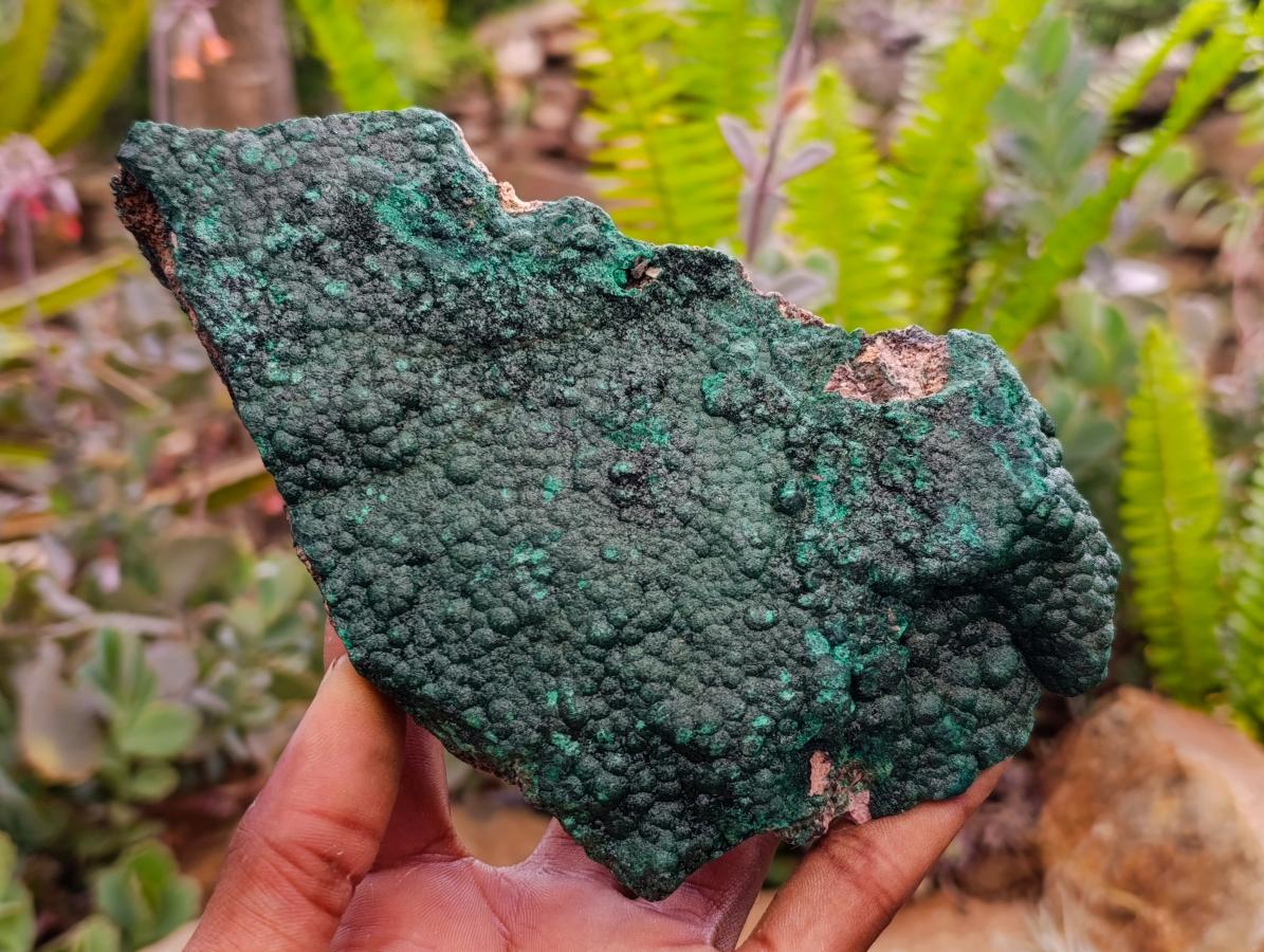 Natural Botryoidal Malachite Specimens x 2 From Congo