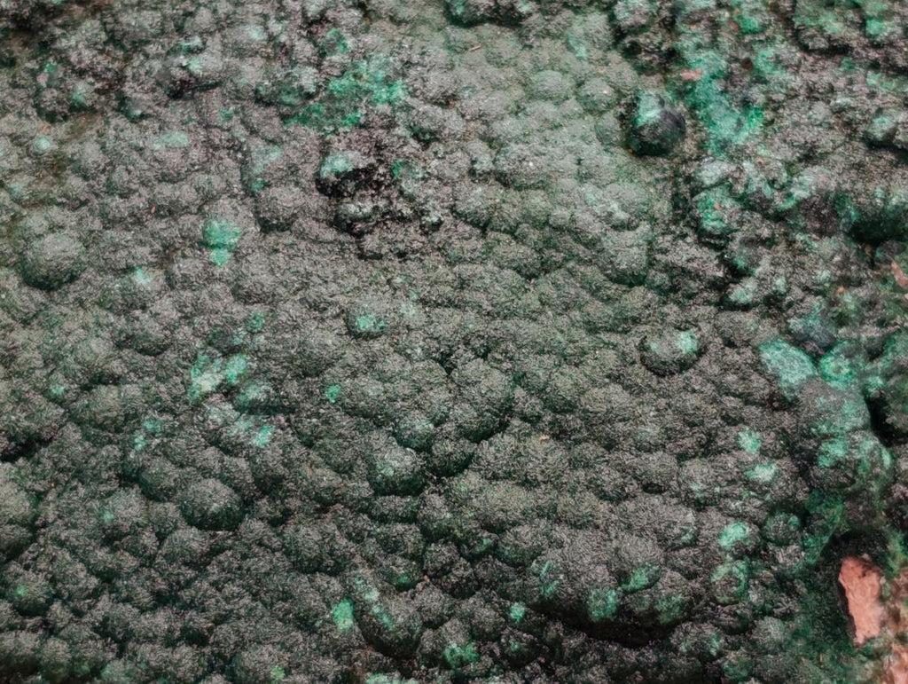 Natural Botryoidal Malachite Specimens x 2 From Congo