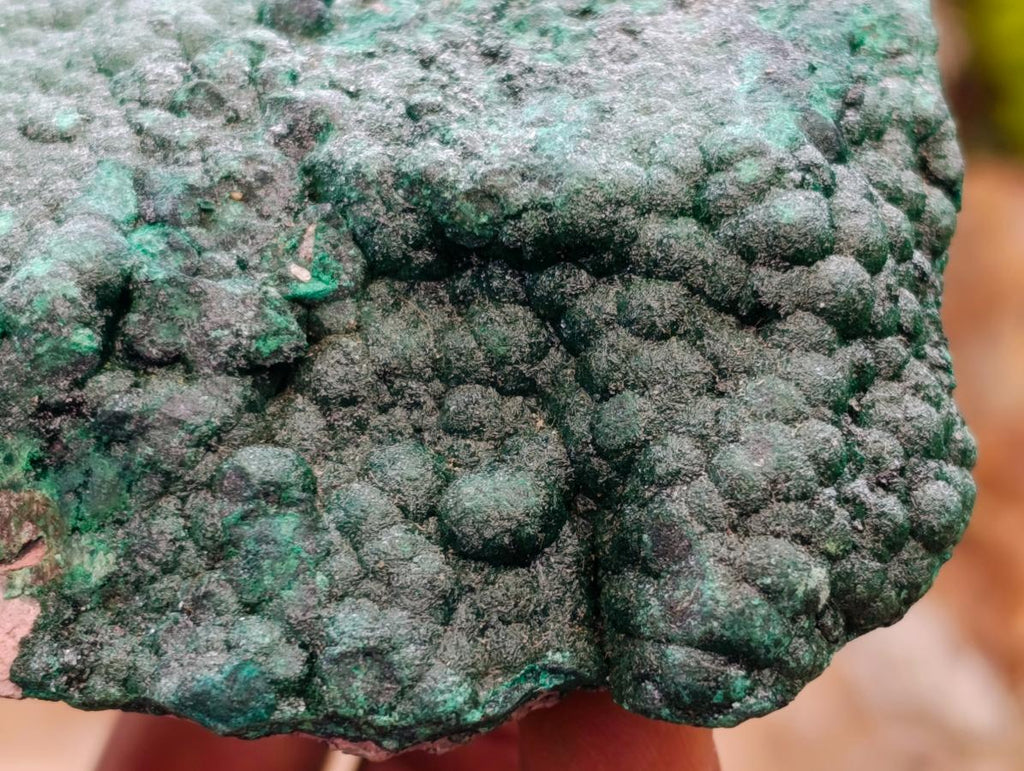 Natural Botryoidal Malachite Specimens x 2 From Congo