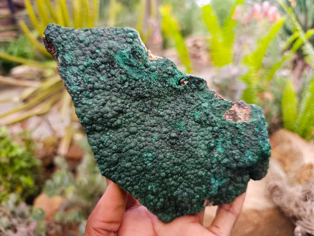 Natural Botryoidal Malachite Specimens x 2 From Congo