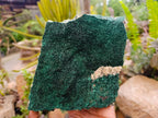 Natural Botryoidal Malachite Specimens x 2 From Congo