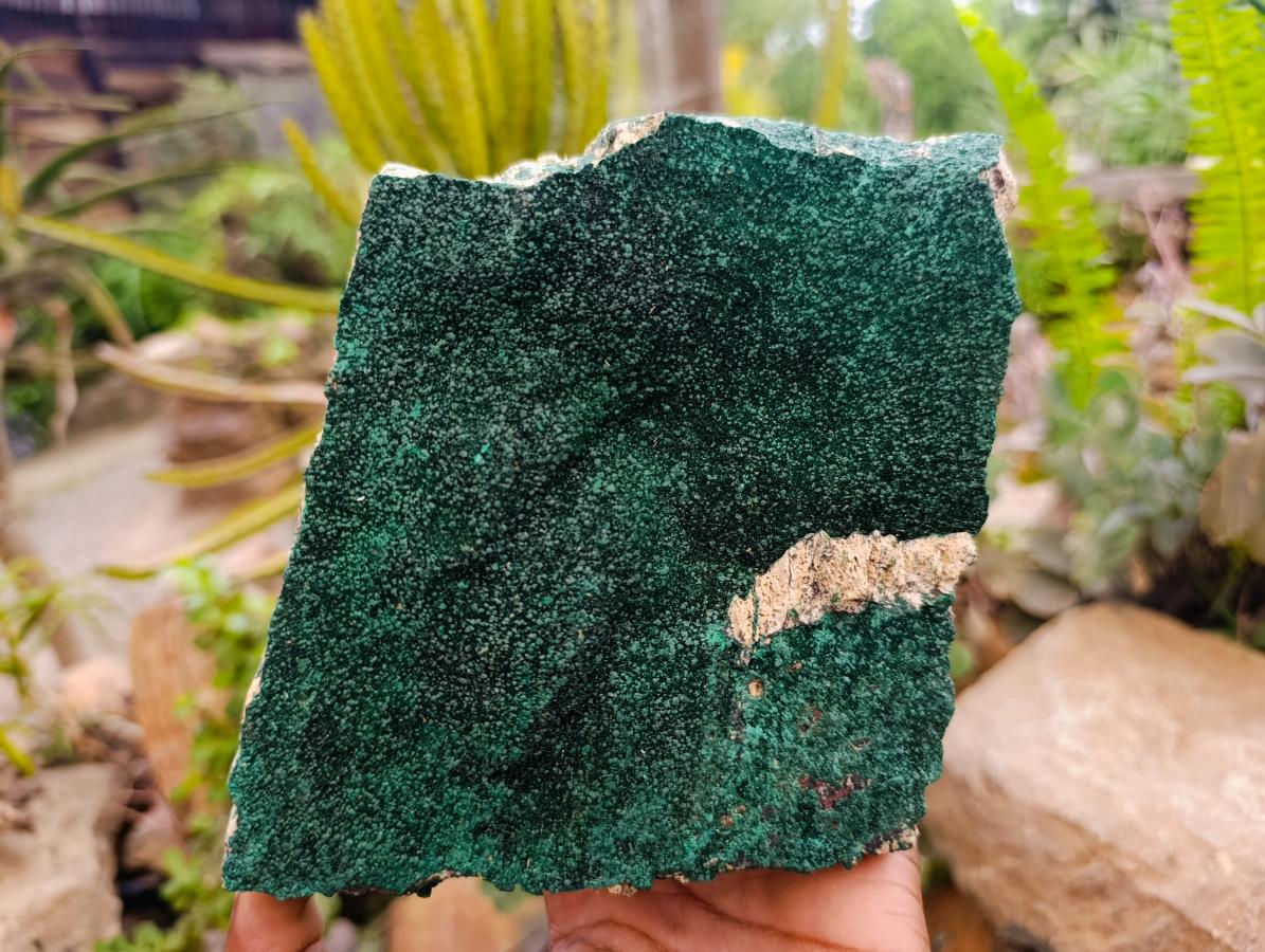 Natural Botryoidal Malachite Specimens x 2 From Congo