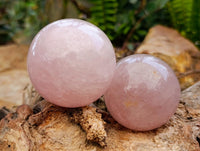 Polished Star Rose Quartz Spheres x 6 From Madagascar