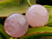 Polished Star Rose Quartz Spheres x 6 From Madagascar
