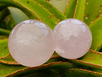 Polished Star Rose Quartz Spheres x 6 From Madagascar