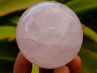 Polished Star Rose Quartz Spheres x 6 From Madagascar