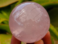 Polished Star Rose Quartz Spheres x 6 From Madagascar