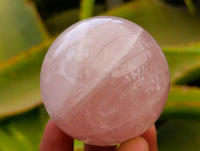 Polished Star Rose Quartz Spheres x 6 From Madagascar