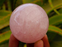 Polished Star Rose Quartz Spheres x 6 From Madagascar