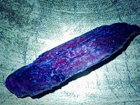 Natural Kyanite Crystals x 12 From Karoi, Zimbabwe