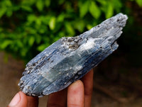 Natural Kyanite Crystals x 12 From Karoi, Zimbabwe