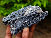 Natural Kyanite Crystals x 12 From Karoi, Zimbabwe