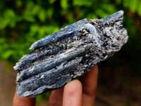 Natural Kyanite Crystals x 12 From Karoi, Zimbabwe