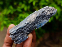 Natural Kyanite Crystals x 12 From Karoi, Zimbabwe