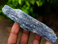 Natural Kyanite Crystals x 12 From Karoi, Zimbabwe