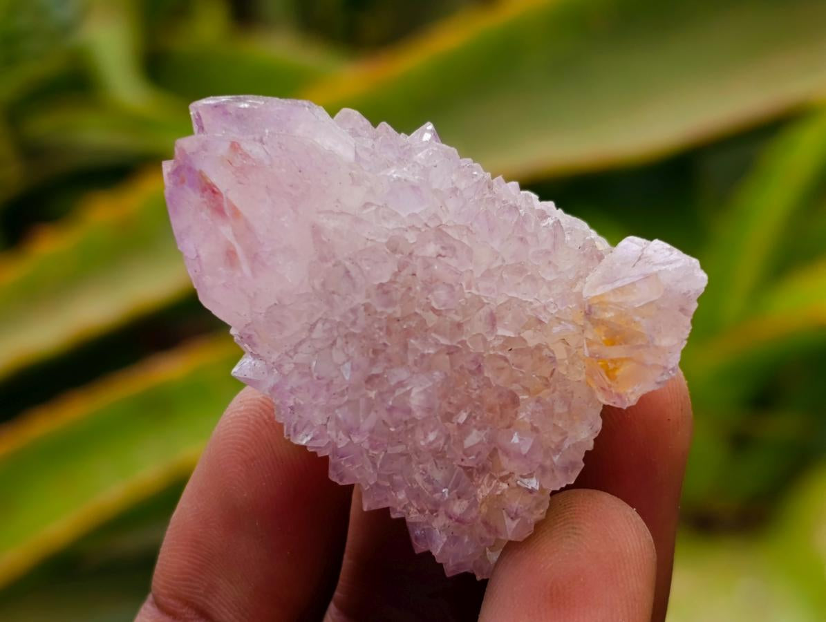 Natural Smokey Ametrine Spirit Crystals and Clusters x 35 From Boekenhouthoek, South Africa