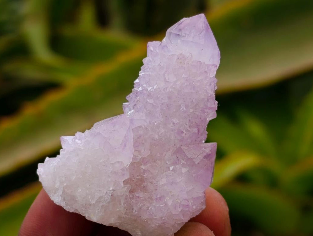 Natural Smokey Ametrine Spirit Crystals and Clusters x 35 From Boekenhouthoek, South Africa