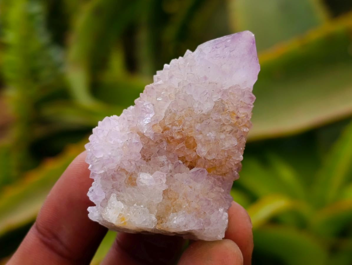Natural Smokey Ametrine Spirit Crystals and Clusters x 35 From Boekenhouthoek, South Africa
