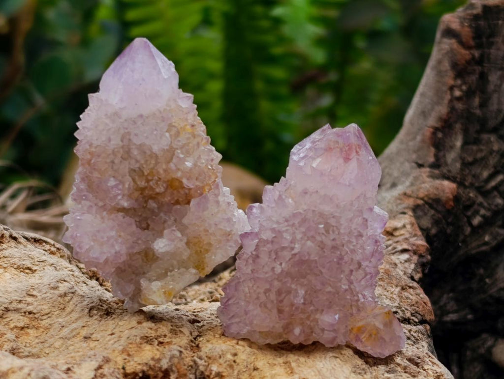 Natural Smokey Ametrine Spirit Crystals and Clusters x 35 From Boekenhouthoek, South Africa