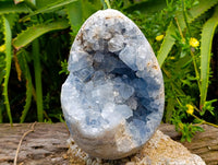 Polished Blue Celestite Egg x 1 From Sakoany, Madagascar