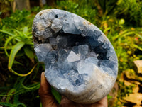 Polished Blue Celestite Egg x 1 From Sakoany, Madagascar