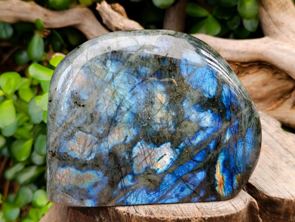 Polished Labradorite Standing Free Forms x 2 From Tulear, Madagascar