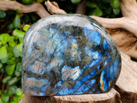Polished Labradorite Standing Free Forms x 2 From Tulear, Madagascar